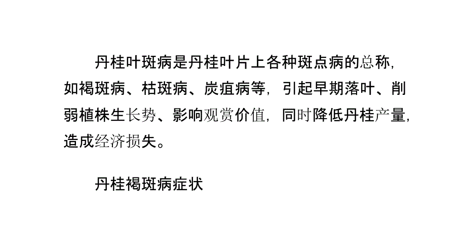 怎样防治丹桂的叶斑病_第2页