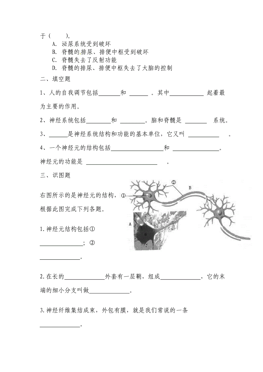 第二节神经system的组成习题1_第2页