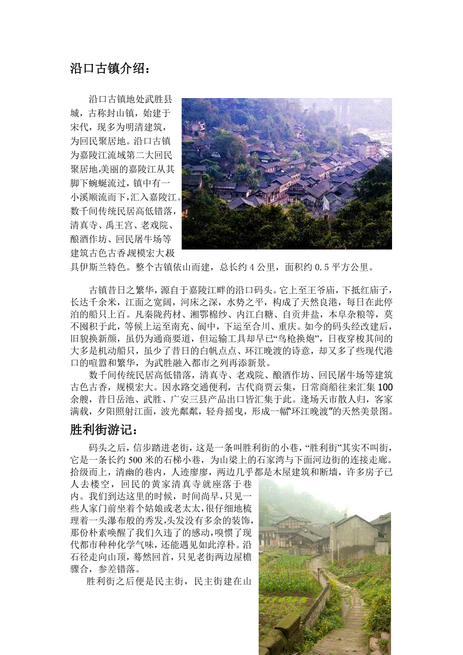 广安武胜沿口古镇_第1页