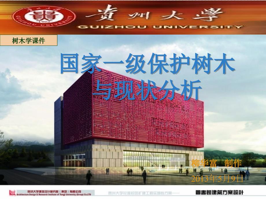 国家一级保护树种及现分析状_第1页