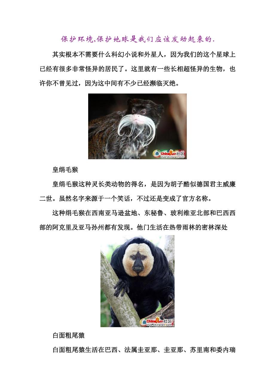 奇形怪状的动物 可惜灭绝了好多!_第1页
