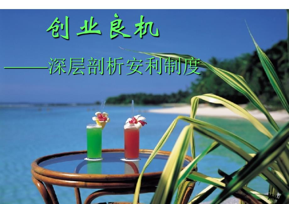 纯数字11.5万安利奖金制度(顺讲）110611桂..._第1页