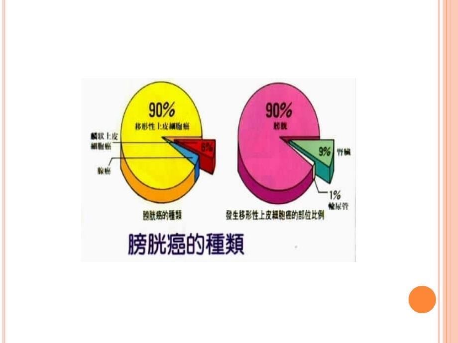 膀胱癌病人护理医学课件_第5页