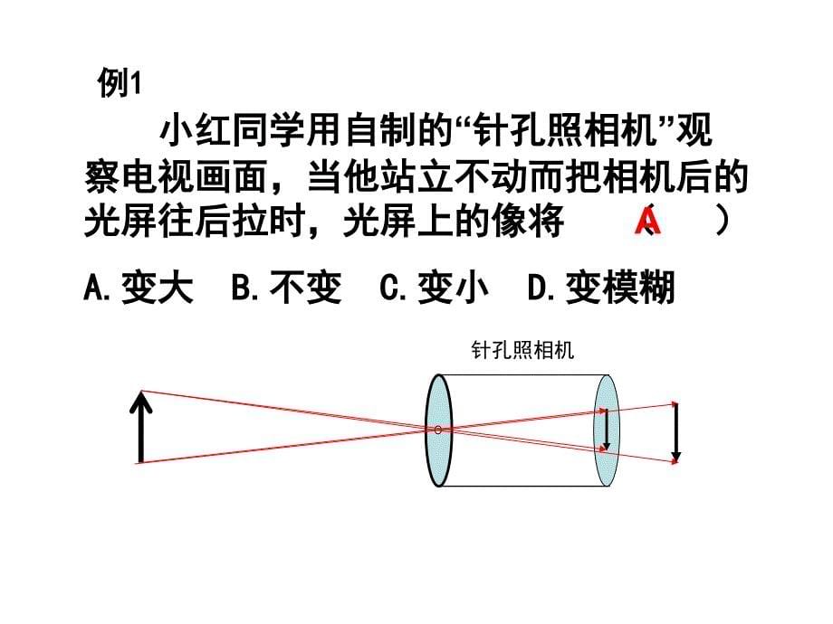中考物理光现象_第5页
