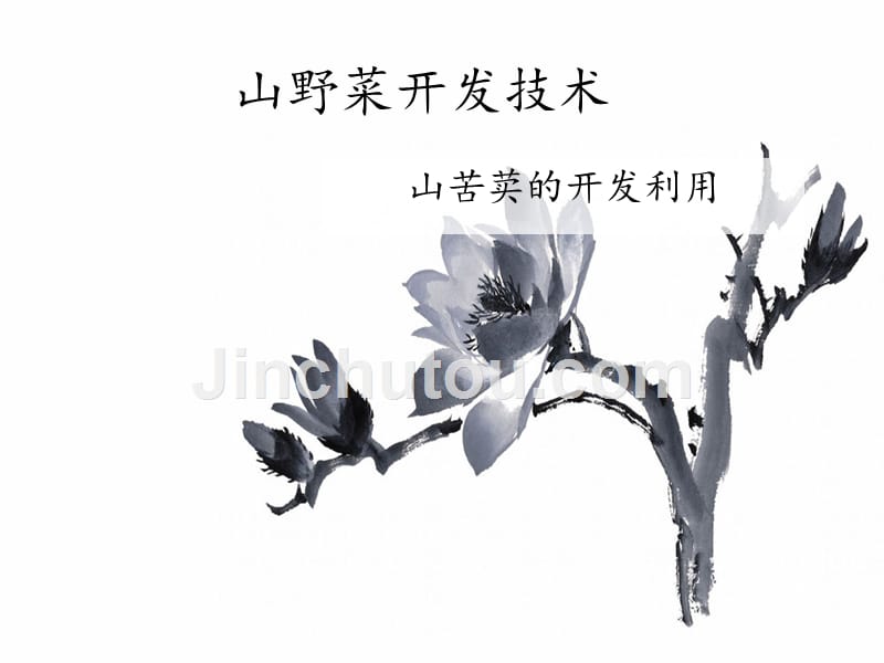 山野菜开发技术_第1页