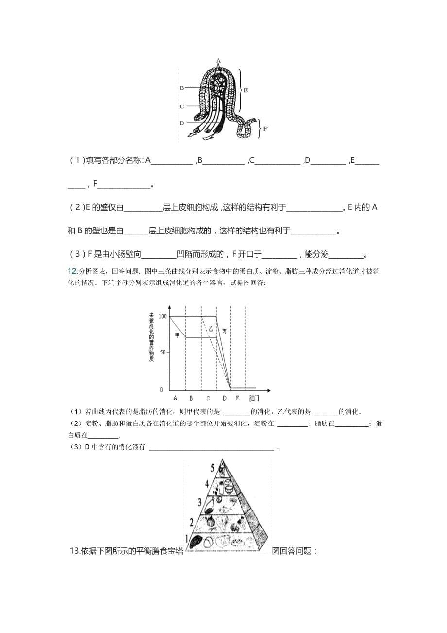 生物七年级下册生物期中识图题_第5页