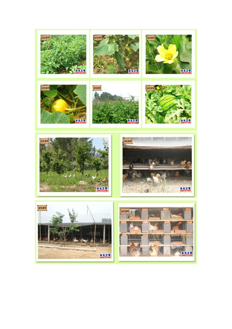 义乌市CSA社区支援农业公司构想_第4页