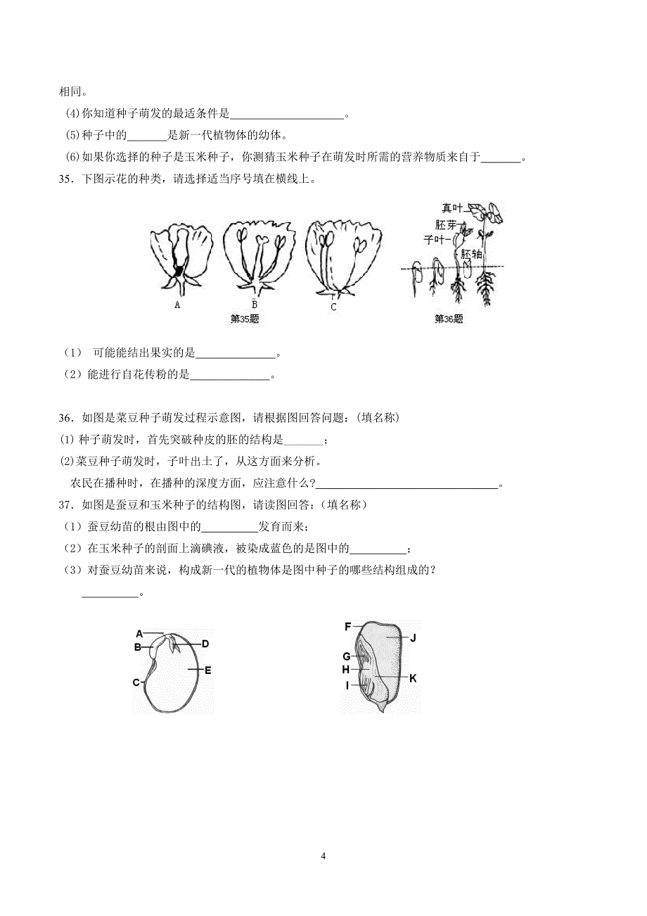 第三章《代代相传的生命》测试卷_第4页