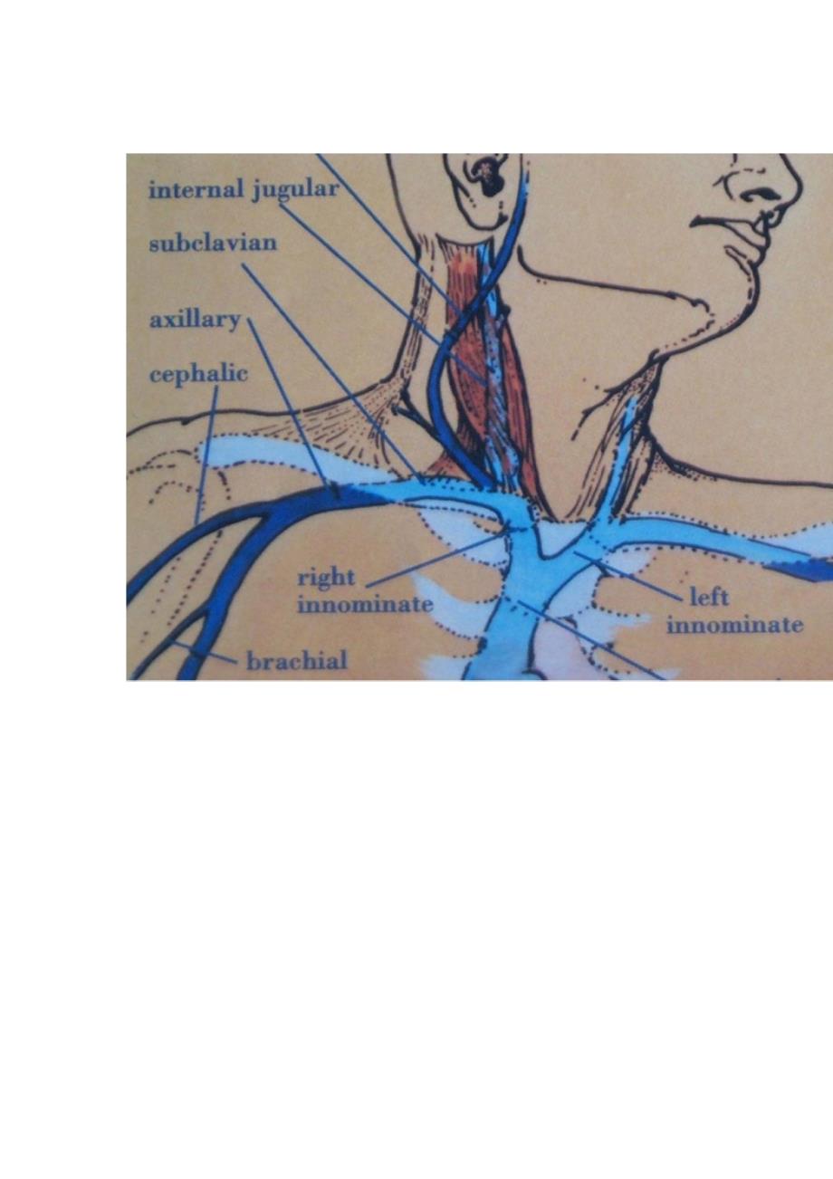 中心静脉穿刺置管术及临床应用_第4页