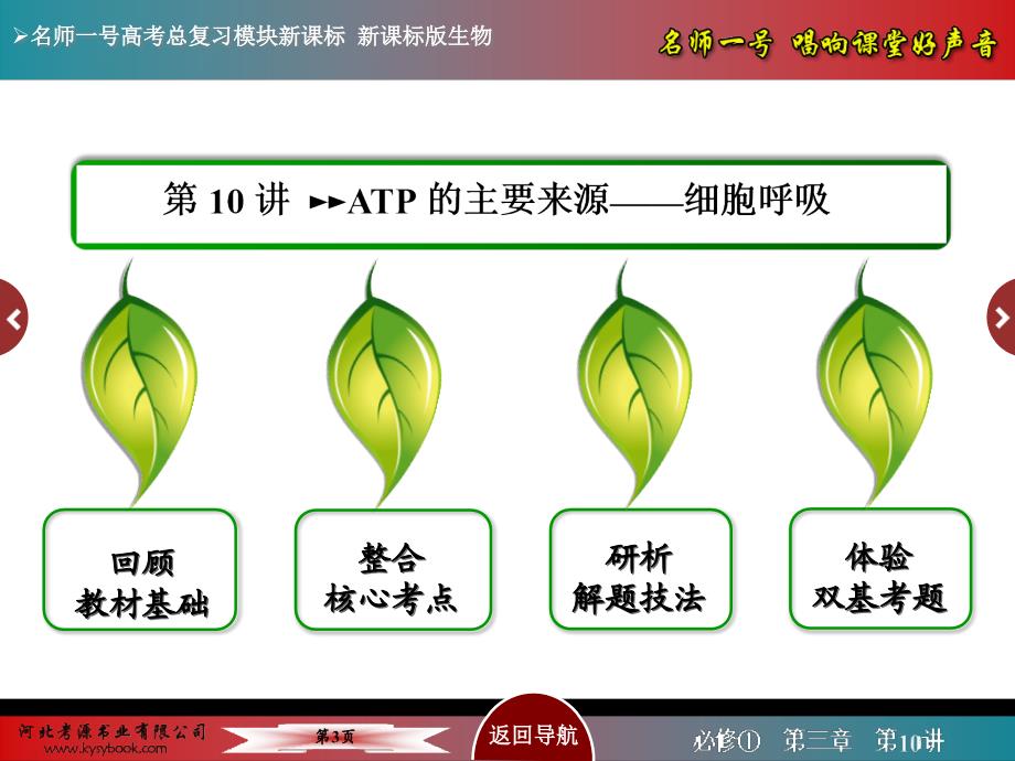 【名师一号】2015届高考生物(人教版通用)总复习教学课件：第10讲 ATP的主要来源——细胞呼吸_第3页