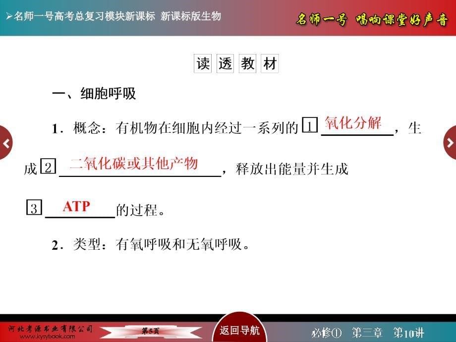 【名师一号】2015届高考生物(人教版通用)总复习教学课件：第10讲 ATP的主要来源——细胞呼吸_第5页