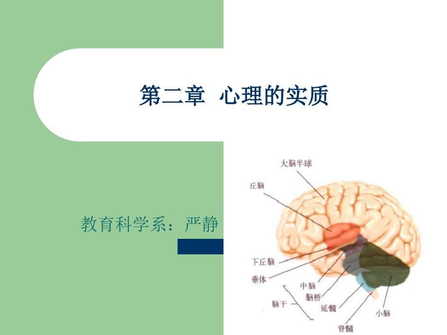 第二章__心理的实质_第1页