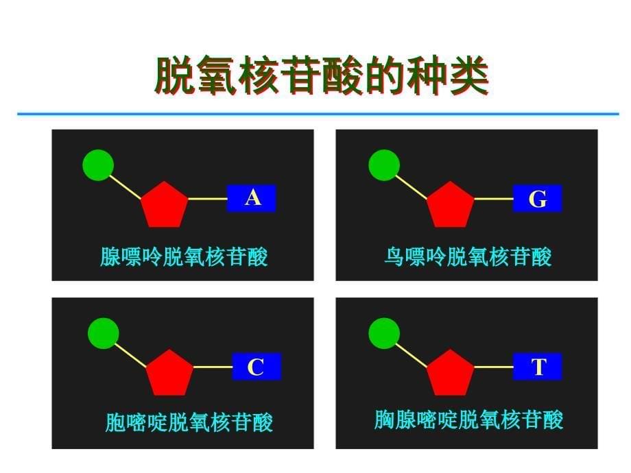 教育技术能力培训电子讲稿_第5页