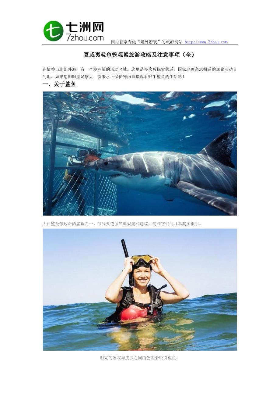 夏威夷鲨鱼笼观鲨旅游攻略及注意事项(全)_第1页