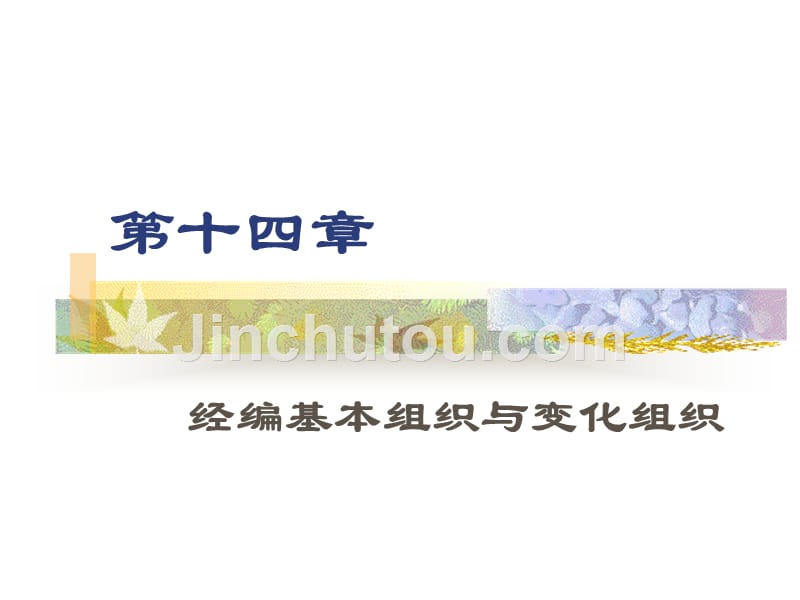 第14章 经编基本组织与变化组织_第1页