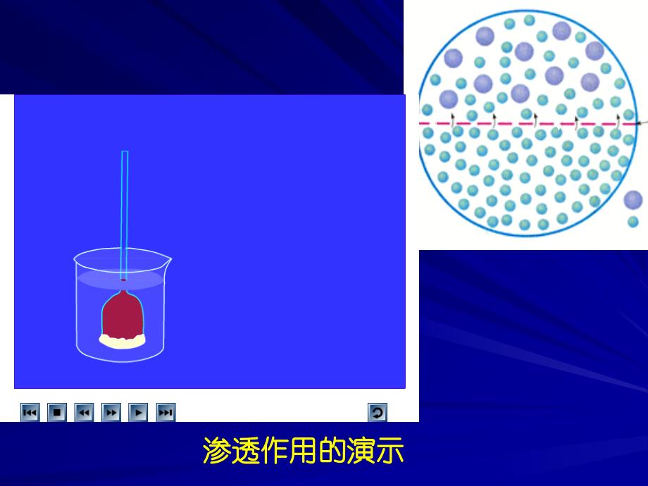 物质跨膜---省级示范性高中所用教学课件_第2页