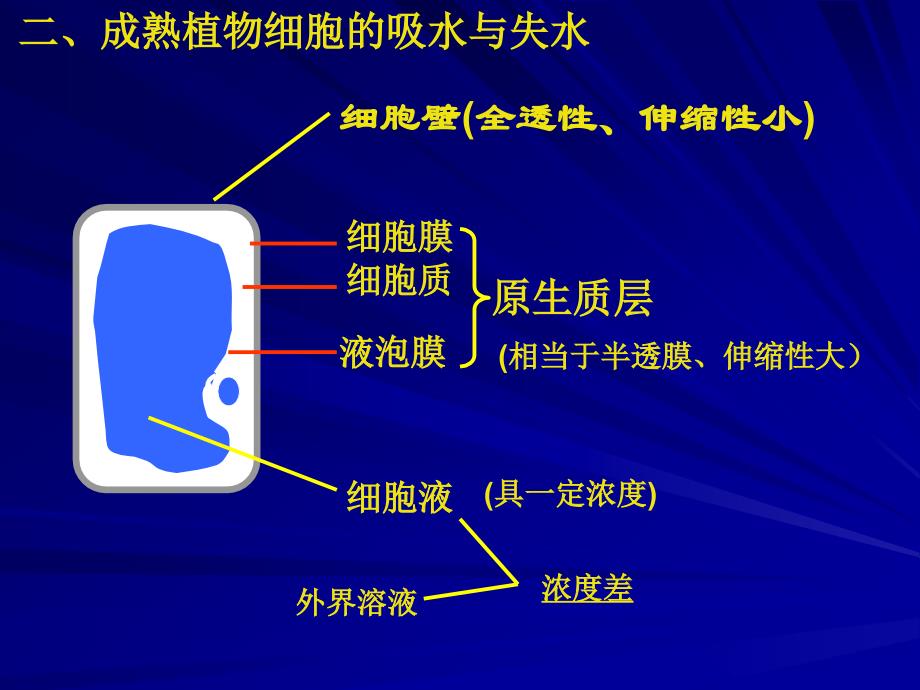 物质跨膜---省级示范性高中所用教学课件_第4页