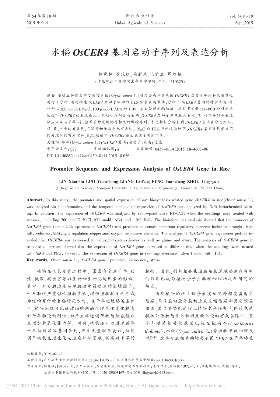 水稻OsCER4基因启动子序列及表达分析林晓林_第1页