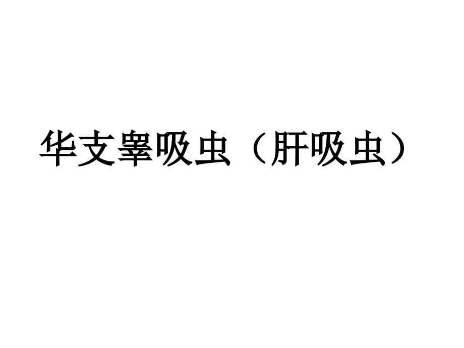 深圳大学理科选修《人类传染病灾难与对策》课件 第十讲 寄生虫传染病_第5页