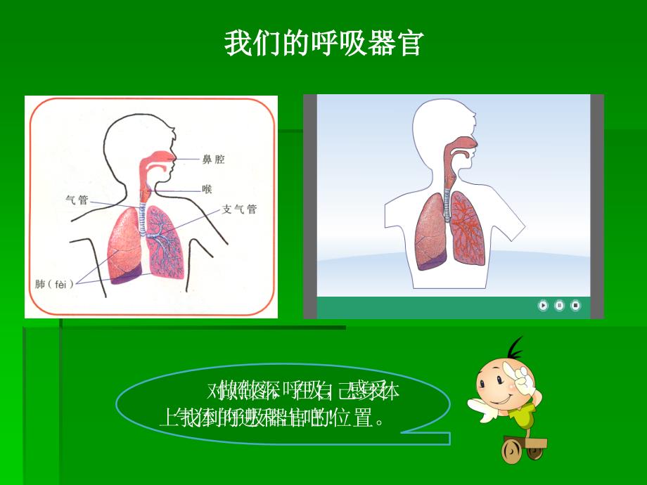 湘版五年级上册第一单元1.我们在呼吸_第2页