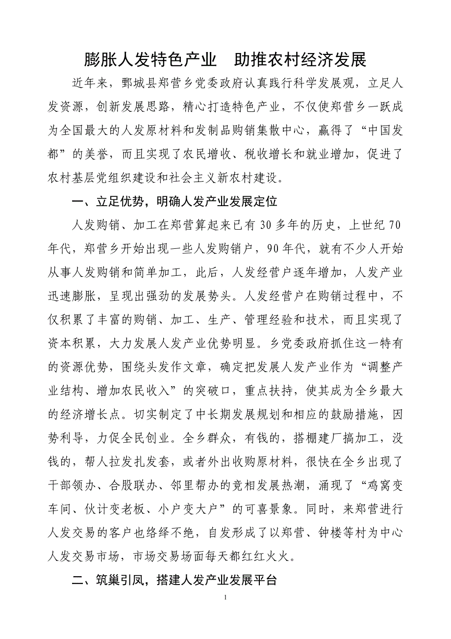 膨胀人发特色产业助推农村经济发展_第1页