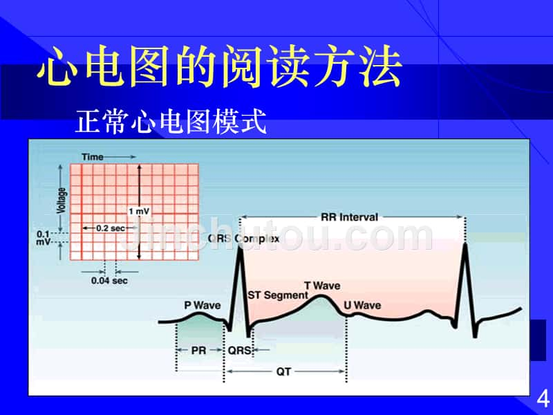 心电图的阅读方法_第5页