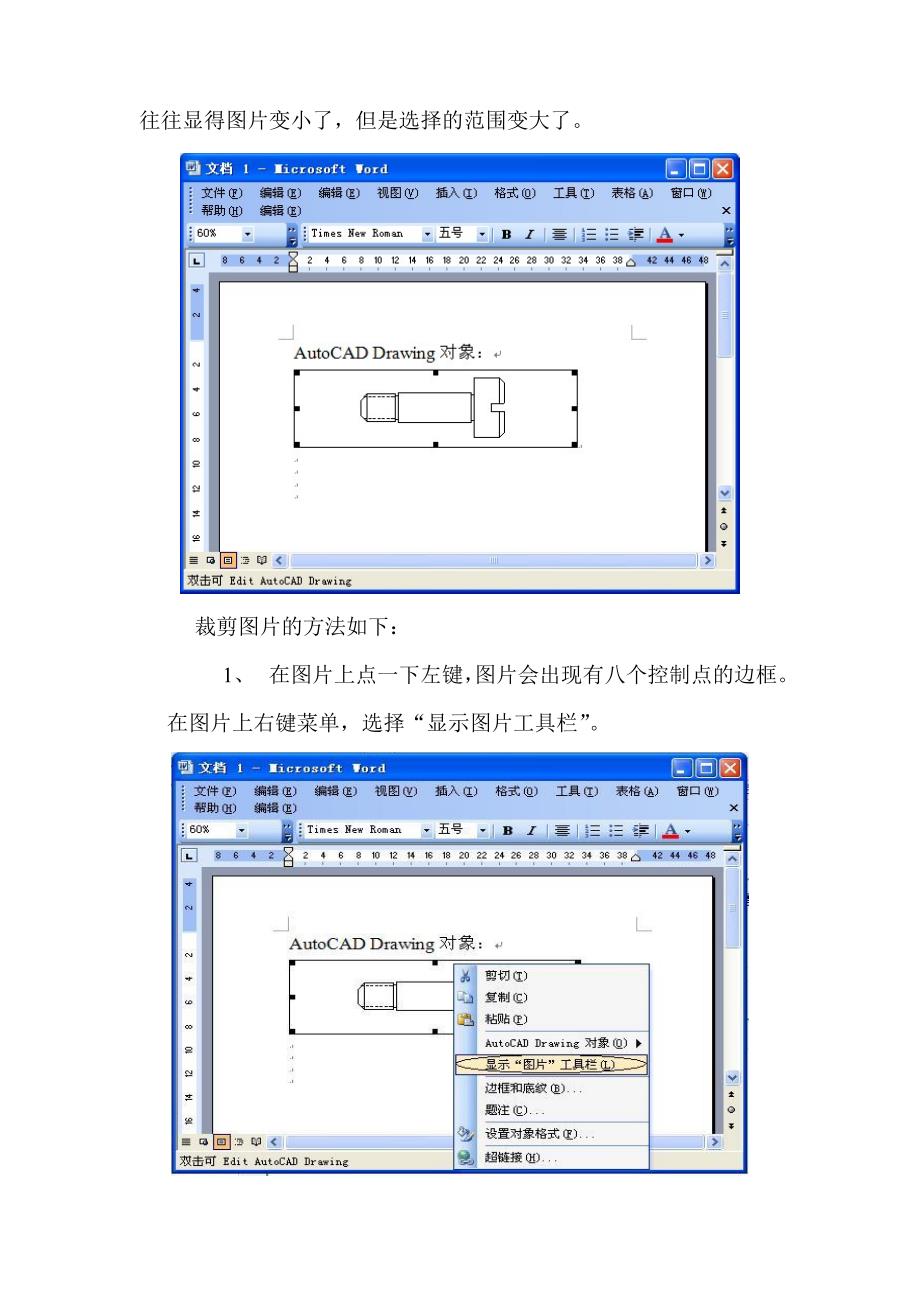 CAD图片(图纸)在Word、Wps中的使用_第3页