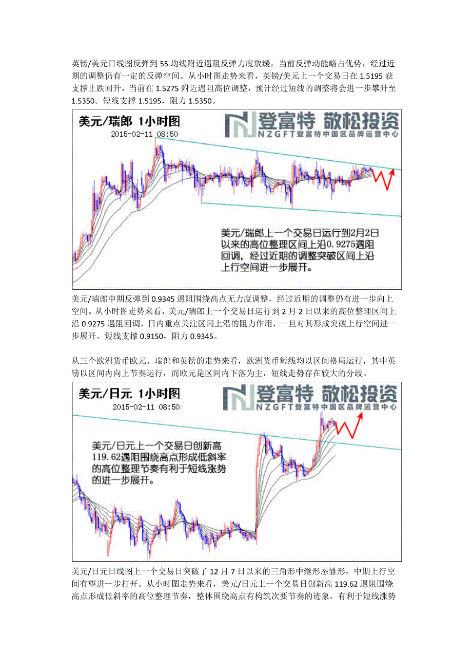 2月11日NZGFT登富特敬松投资主次节奏日报_第2页