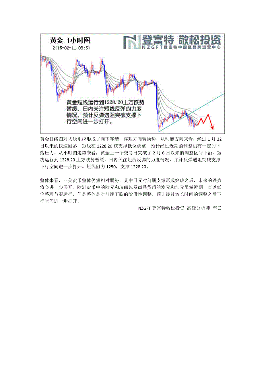 2月11日NZGFT登富特敬松投资主次节奏日报_第4页