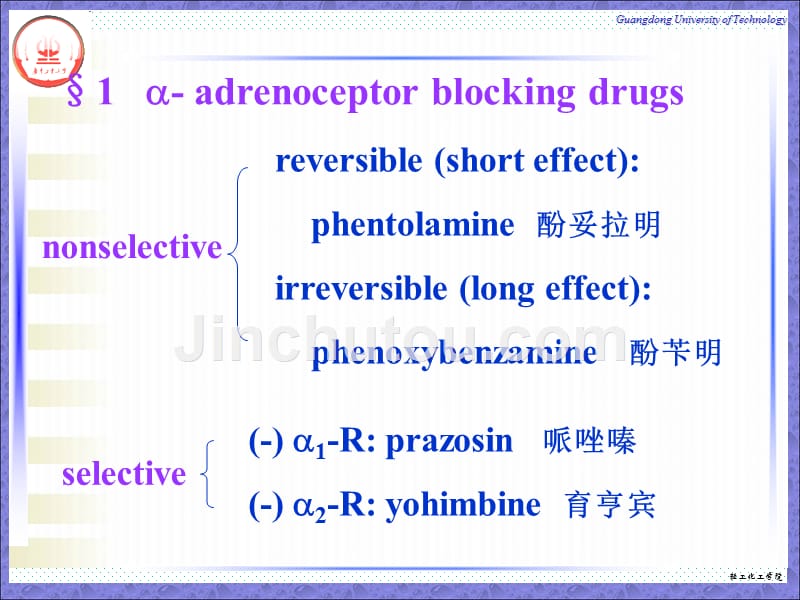 10 第十章 肾上腺素受体阻断药_第3页