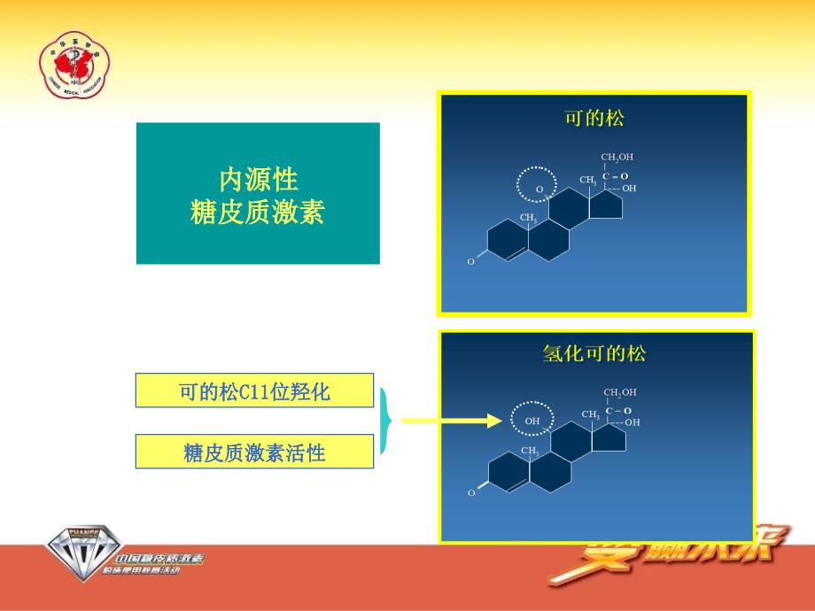 常用糖皮质激素类药物制剂及特点-王强_第4页