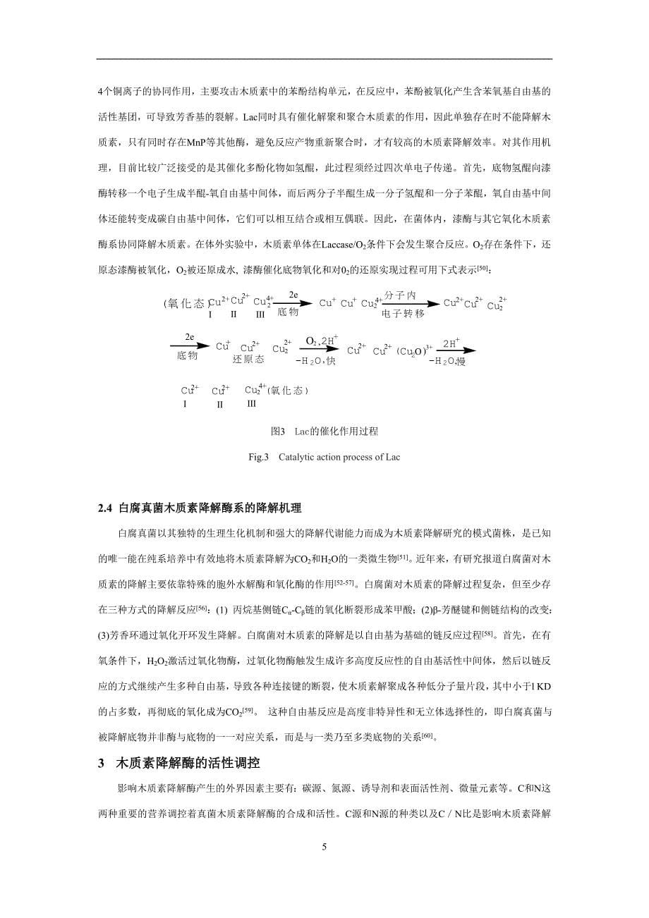 木质素生物降解的最新研究进展_第5页