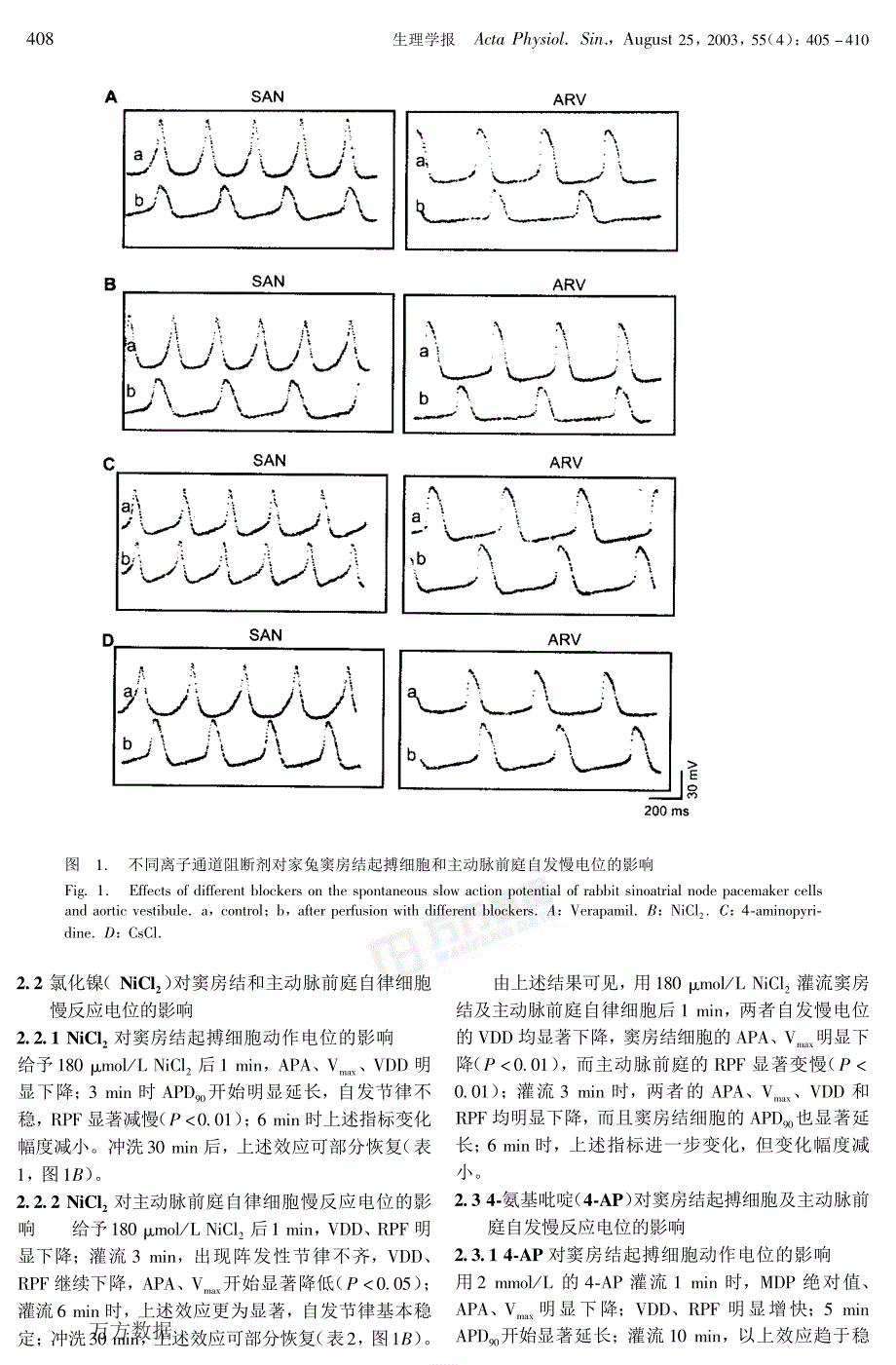 兔主动脉前庭自律细胞与窦房结电生理特性的比较_第4页