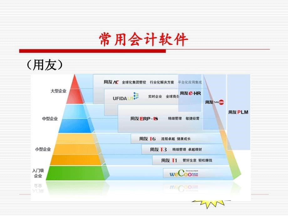 会计电算化第一章_第5页