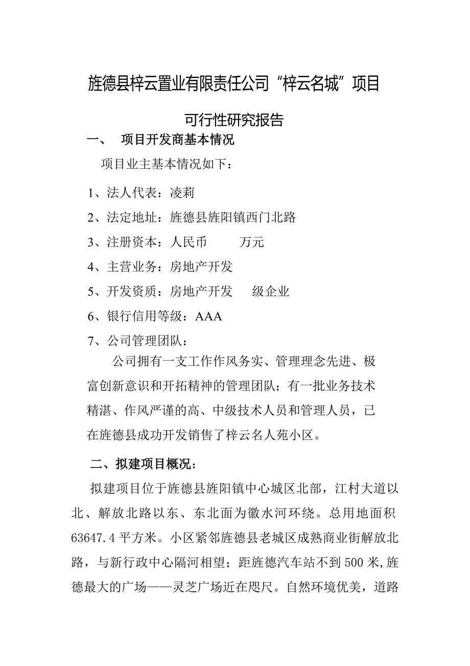 梓云名城项目可行性研究报告_第1页