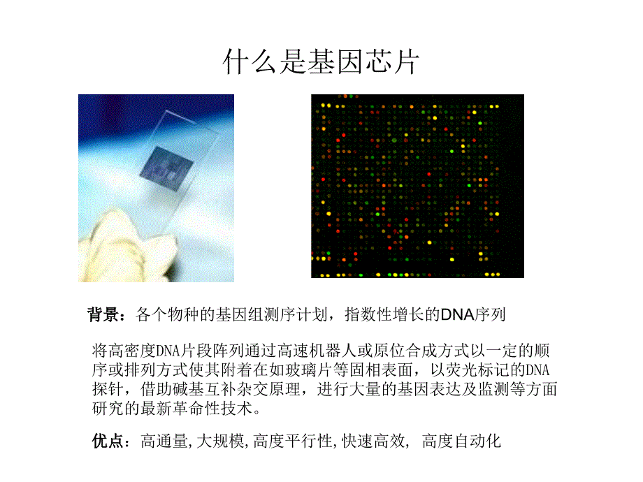 基因芯片数据分析简介_第2页