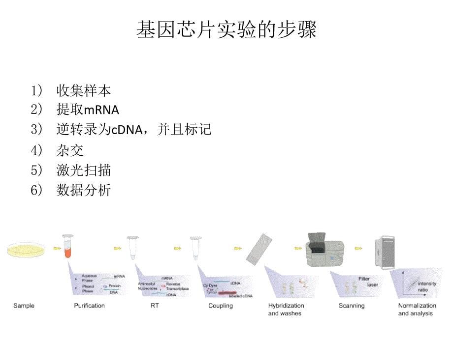 基因芯片数据分析简介_第5页