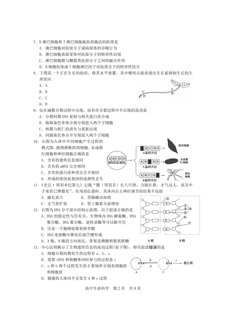 2016年上海松江区高二生命科学等级考一模_第2页