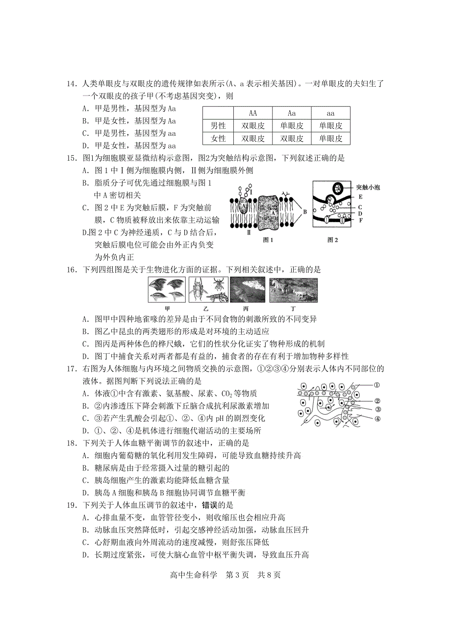 2016年上海松江区高二生命科学等级考一模_第3页