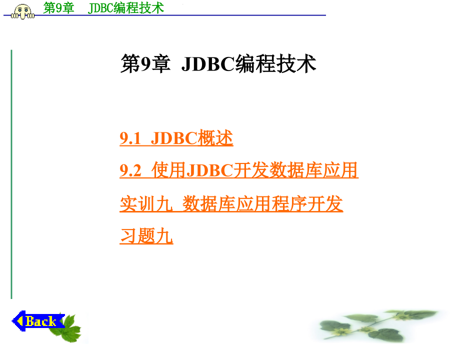 第9章  JDBC编程技术_第1页