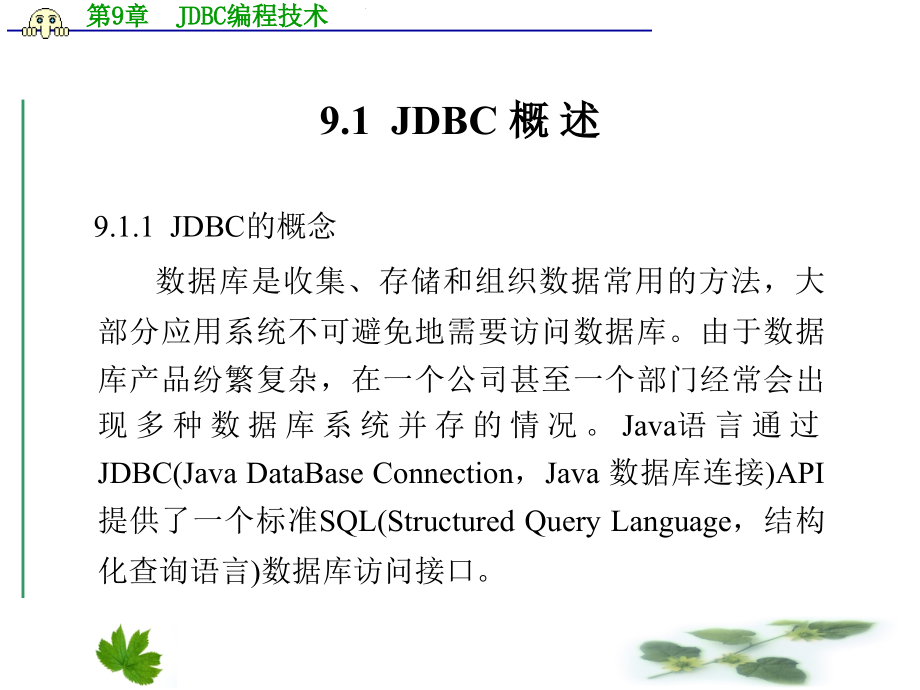 第9章  JDBC编程技术_第2页