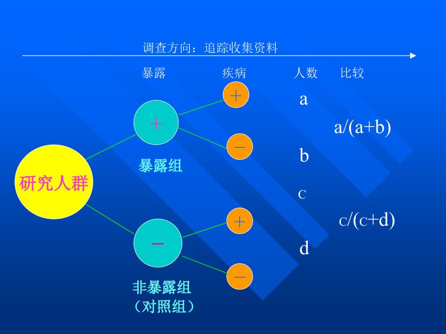 第五章 队列研究_第3页