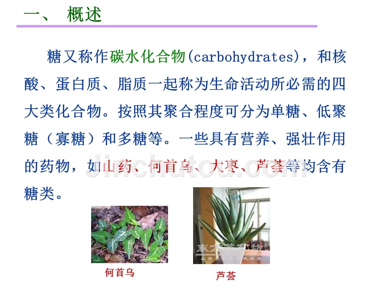 第二章  糖和苷090922_第2页