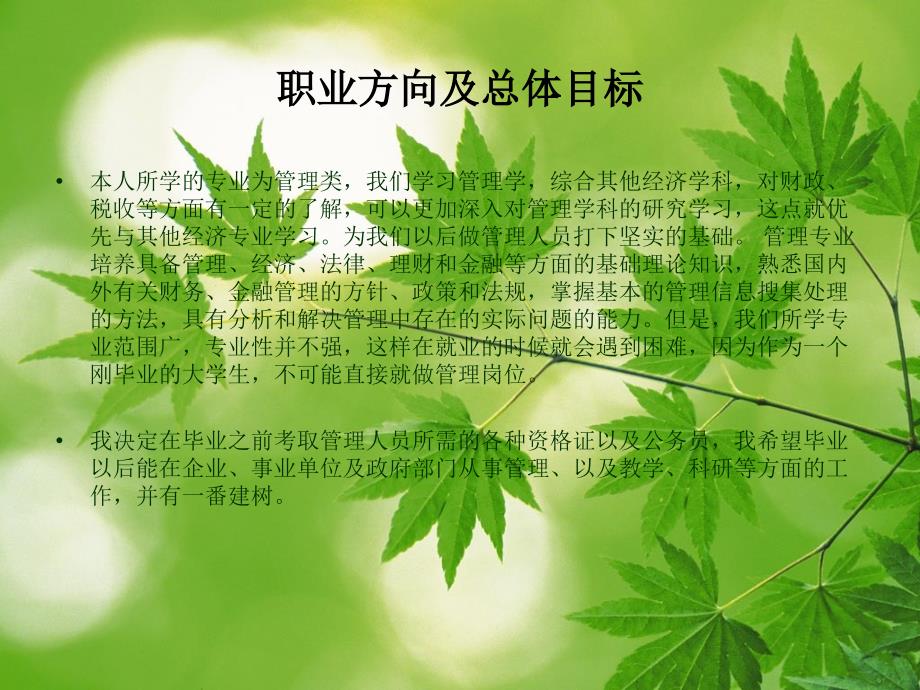 职业生涯规划书的_第3页