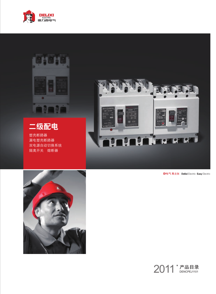 德力西电气产品选型手册2011版(B-二级配电)_第1页