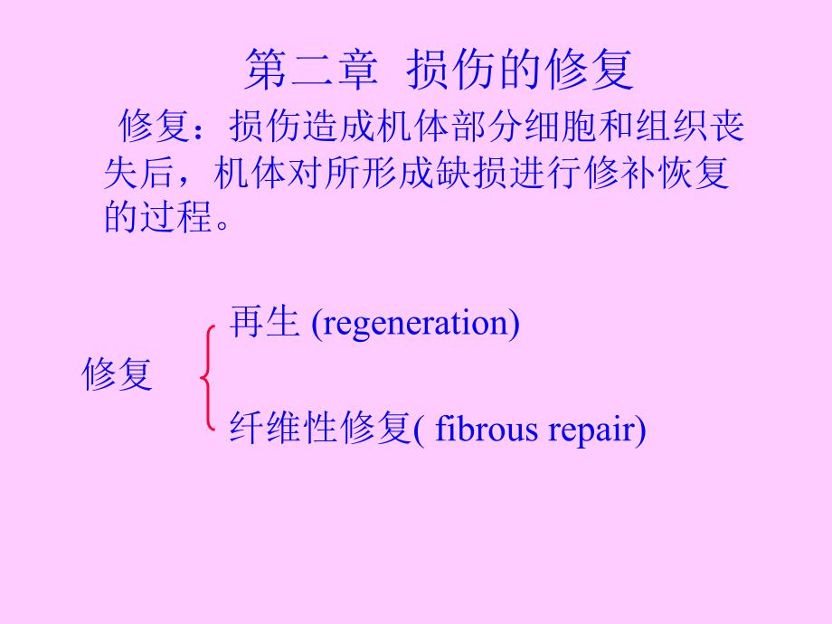 病理学第一章第三节损伤的修复_第1页