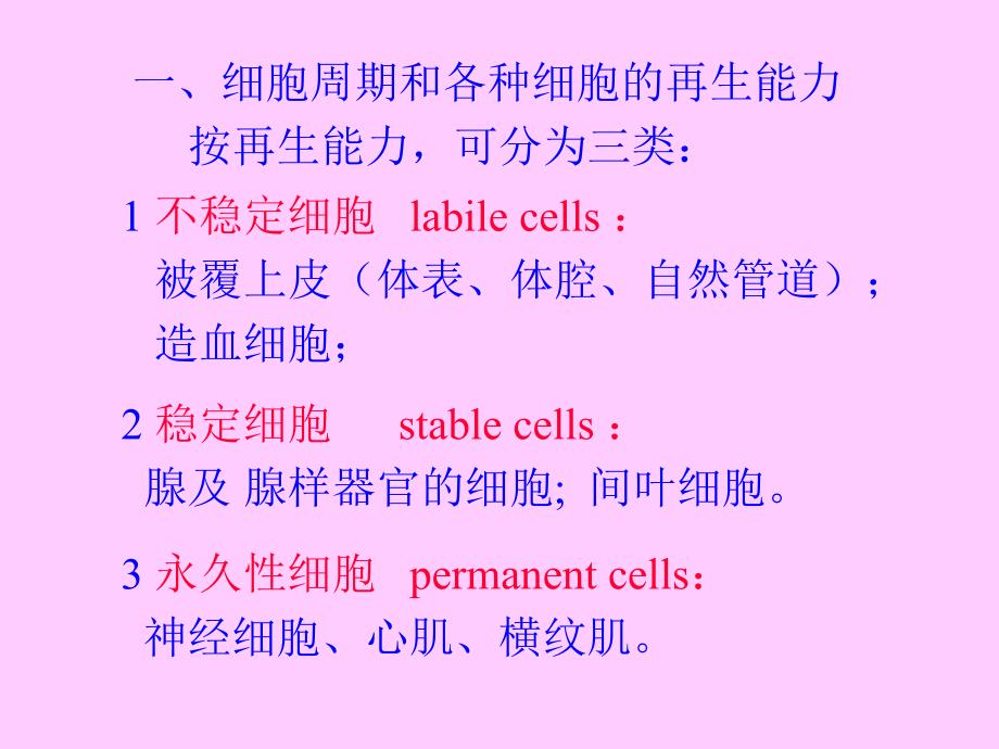 病理学第一章第三节损伤的修复_第3页