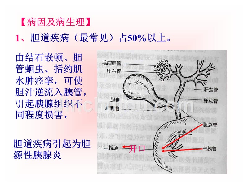 第二十七章胰腺疾病护理_第3页