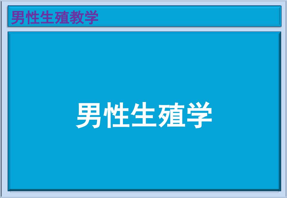 精版男性生殖教学培训教材(瑞韵筝鸣)_第1页