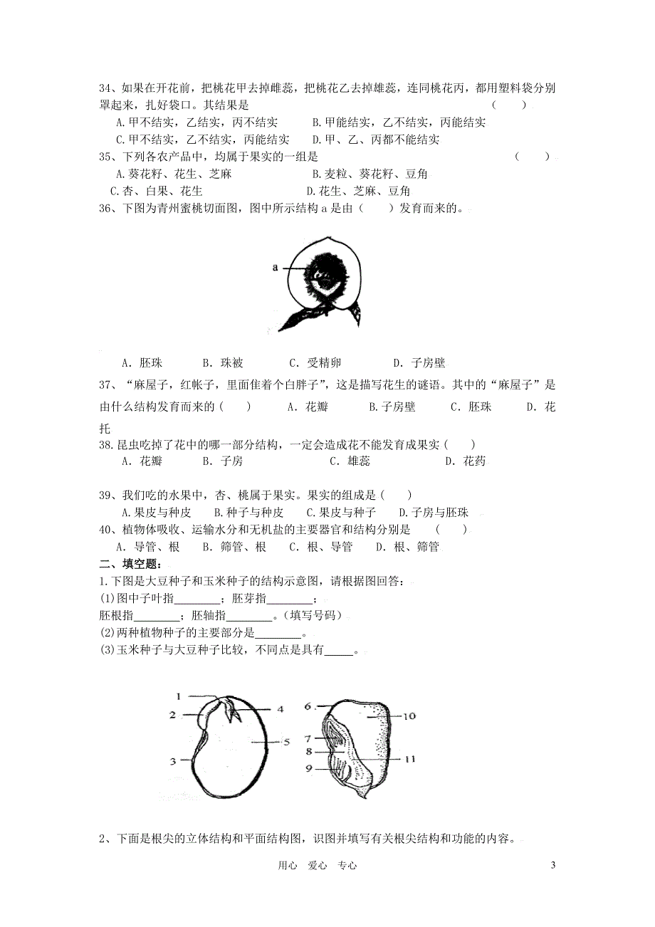 七年级生物上册 第5章 绿色植物的一生单元练习 苏教版_第3页